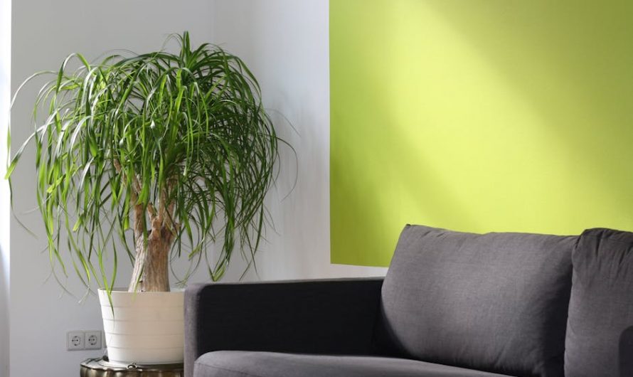 Лучший Hansa климатик для Москвы